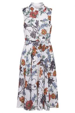 hobbs francine dress