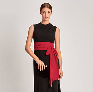 Hobbs on sale connie dress