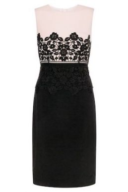 Hobbs Seraphina Lace Dress Dress Pink Blush Black