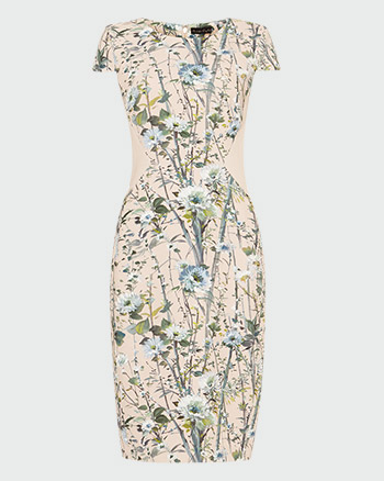 phase eight gracie floral scuba dress