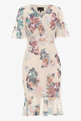 Phase Eight Keely Printed Dress Blush Multi