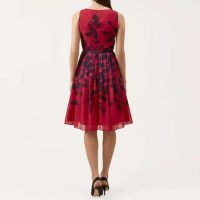 Hobbs best sale sienna dress