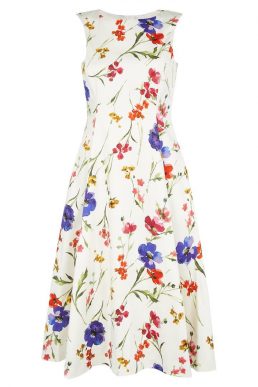 Hobbs Kayla Leaf Print Sleeve Dress Pink Multi myonewedding