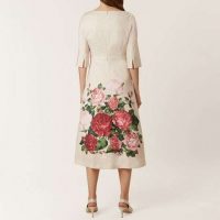 Hobbs princess cheap rose dress