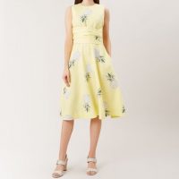 Hobbs sale pineapple dress