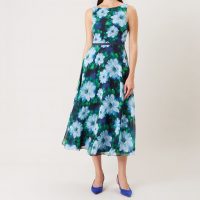 Hobbs blue hotsell carly dress