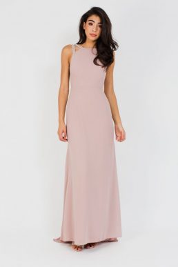 tfnc riva pale mauve maxi embellished dress