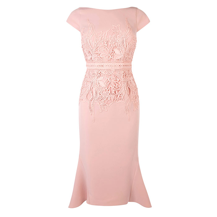 Blush Lace Waist Shift Dress