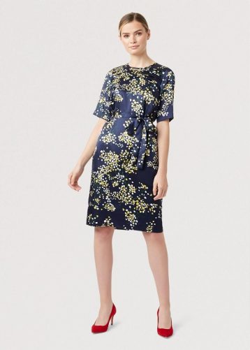 Hobbs Madeline Floral Sleeve Print Dress Navy Multi