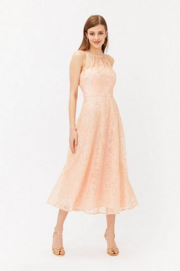 Coast Embroidered High Neck Mesh Midi Dress Blush Pale Pink