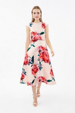 ami roccabella dress