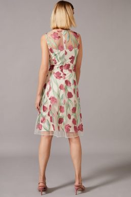 phase eight shae embroidered dress