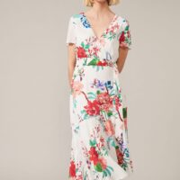 Hobbs hot sale evadine dress