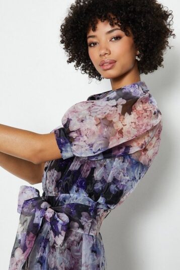 Coast Organza Floral Sleeve Shirt Dress Purple Multi