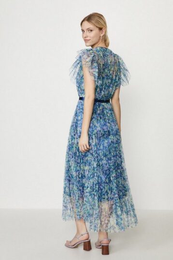 Coast Lace Mesh Printed Dress With Pleated Skirt, Blue/Multi - Image 2