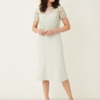 Phase eight best sale peppermint dress