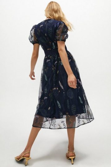 Coast Embroidered Mesh V Neck Dress Navy Multi Dresses