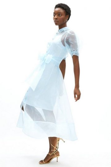 Coast Organza Puff Sleeve Shirt Dress Pale Blue