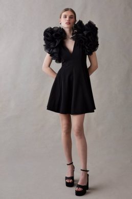 Coast Organza Ruffle Sleeve Crepe Mini Dress Black