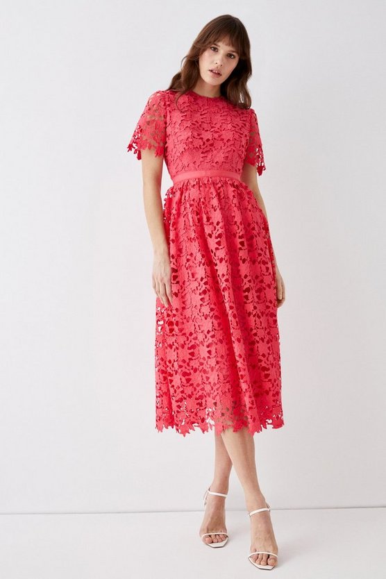 Lace Fit & Flare Midi Dress