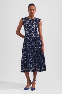 Hobbs Pheobe Lace Dress Pale Blue Navy