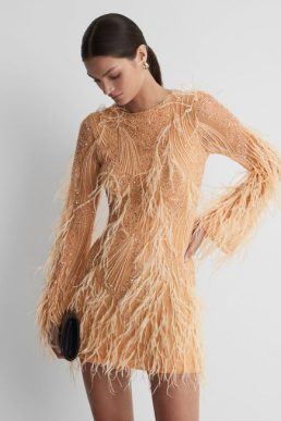 Reiss Aster Rachel Gilbert Embellished Feather Mini Dress Blush