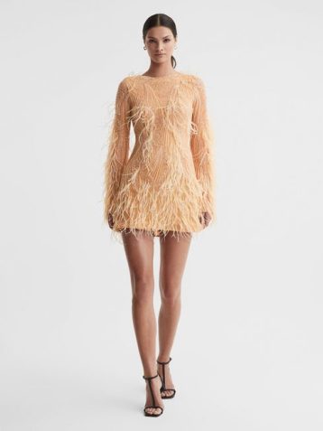 Reiss Aster Rachel Gilbert Embellished Feather Mini Dress Blush