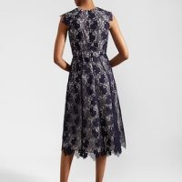 Hobbs Hannah Lace Dress Navy Pale Pink